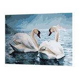 Maxbell DIY Paint By Numbers Kit Canvas Oil Painting Art Crafts  Two Swans