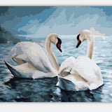 Maxbell DIY Paint By Numbers Kit Canvas Oil Painting Art Crafts  Two Swans