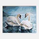 Maxbell DIY Paint By Numbers Kit Canvas Oil Painting Art Crafts  Two Swans