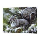 Maxbell DIY Paint By Numbers Kit Canvas Oil Painting Art Crafts  Squirrel