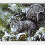 Maxbell DIY Paint By Numbers Kit Canvas Oil Painting Art Crafts  Squirrel