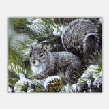 Maxbell DIY Paint By Numbers Kit Canvas Oil Painting Art Crafts  Squirrel
