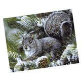Maxbell DIY Paint By Numbers Kit Canvas Oil Painting Art Crafts  Squirrel