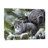 Maxbell DIY Paint By Numbers Kit Canvas Oil Painting Art Crafts  Squirrel
