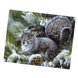 Maxbell DIY Paint By Numbers Kit Canvas Oil Painting Art Crafts  Squirrel