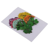 Maxbell Multiple Mixed Natural Pressed Dried Flower Leaf DIY Art Craft Decor big size