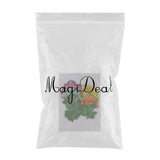 Maxbell Multiple Mixed Natural Pressed Dried Flower Leaf DIY Art Craft Decor big size