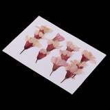 Max 12 Pack Natural Pressed Dried Flowers Side Pressed Sakura Flowers For Scrapbooking Arts Crafts Epoxy Resin Jewelry Making DIY Phone Cover Decoration