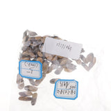 Maxbell 100 Pieces Natural Tree Bark Small Wood Slices Wedding Christmas Home Decor