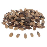 Maxbell 100 Pieces Natural Tree Bark Small Wood Slices Wedding Christmas Home Decor