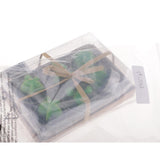 Max 6 Pieces Cactus Tealight Candles Handmade Delicate Succulent Cactus Candles