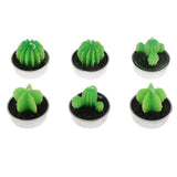 Max 6 Pieces Cactus Tealight Candles Handmade Delicate Succulent Cactus Candles