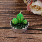 Max 6 Pieces Cactus Tealight Candles Handmade Delicate Succulent Cactus Candles