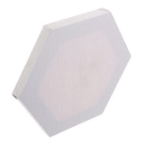 Max Pro Artists Blank Stretched Canvas Panels Boards for Painting Diameter 20cm