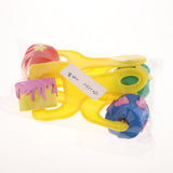 Maxbell 4pcs Painting Sponge Roller Brush Early Learning Painting Tools