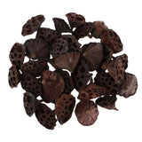 Maxbell 30pcs Natural Dried lotus pod Flowers Fruit for floral decor crafts DIY