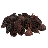 Maxbell 30pcs Natural Dried lotus pod Flowers Fruit for floral decor crafts DIY