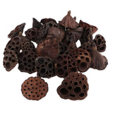 Maxbell 30pcs Natural Dried lotus pod Flowers Fruit for floral decor crafts DIY