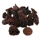 Maxbell 30pcs Natural Dried lotus pod Flowers Fruit for floral decor crafts DIY