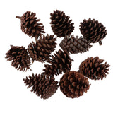 Maxbell 10pcs Pine Cones Baubles Hanging Christmas Tree Holiday Decoration A 6-8CM