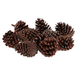 Maxbell 10pcs Pine Cones Baubles Hanging Christmas Tree Holiday Decoration A 6-8CM