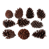 Maxbell 10pcs Pine Cones Baubles Hanging Christmas Tree Holiday Decoration A 6-8CM
