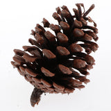 Maxbell 10pcs Pine Cones Baubles Hanging Christmas Tree Holiday Decoration A 6-8CM