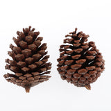 Maxbell 10pcs Pine Cones Baubles Hanging Christmas Tree Holiday Decoration A 6-8CM