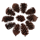 Maxbell 10pcs Pine Cones Baubles Hanging Christmas Tree Holiday Decoration B 8-10CM