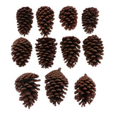 Maxbell 10pcs Pine Cones Baubles Hanging Christmas Tree Holiday Decoration B 8-10CM