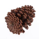 Maxbell 10pcs Pine Cones Baubles Hanging Christmas Tree Holiday Decoration B 8-10CM