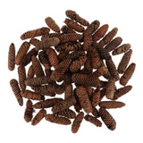 Maxbell 1KG Pine Cone Pineal Nuts Party Decoration Adornment Vase Bowl Fillers 1-6cm