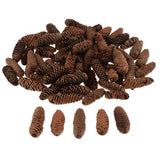 Maxbell 1KG Pine Cone Pineal Nuts Party Decoration Adornment Vase Bowl Fillers 1-6cm