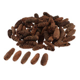 Maxbell 1KG Pine Cone Pineal Nuts Party Decoration Adornment Vase Bowl Fillers 1-6cm