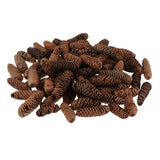 Maxbell 1KG Pine Cone Pineal Nuts Party Decoration Adornment Vase Bowl Fillers 1-6cm