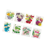 Maxbell 13/14/15Pcs Pressed Leaves Natural Dried Flowers Scrapbooking Card making A