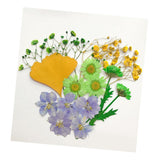 Maxbell 13/14/15Pcs Pressed Leaves Natural Dried Flowers Scrapbooking Card making A