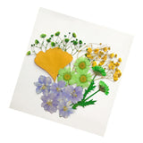 Maxbell 13/14/15Pcs Pressed Leaves Natural Dried Flowers Scrapbooking Card making A