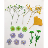 Maxbell 13/14/15Pcs Pressed Leaves Natural Dried Flowers Scrapbooking Card making A