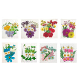Maxbell 13/14/15Pcs Pressed Leaves Natural Dried Flowers Scrapbooking Card making A