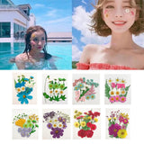 Maxbell 13/14/15Pcs Pressed Leaves Natural Dried Flowers Scrapbooking Card making A