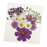 Maxbell 13/14/15Pcs Pressed Leaves Natural Dried Flowers Scrapbooking Card making B