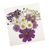 Maxbell 13/14/15Pcs Pressed Leaves Natural Dried Flowers Scrapbooking Card making B