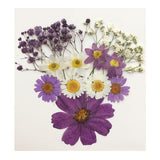 Maxbell 13/14/15Pcs Pressed Leaves Natural Dried Flowers Scrapbooking Card making B