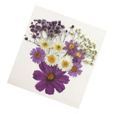 Maxbell 13/14/15Pcs Pressed Leaves Natural Dried Flowers Scrapbooking Card making B