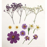 Maxbell 13/14/15Pcs Pressed Leaves Natural Dried Flowers Scrapbooking Card making B