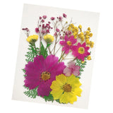 Maxbell 13/14/15Pcs Pressed Leaves Natural Dried Flowers Scrapbooking Card making D