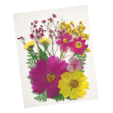 Maxbell 13/14/15Pcs Pressed Leaves Natural Dried Flowers Scrapbooking Card making D