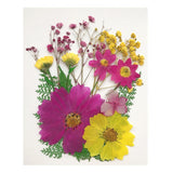 Maxbell 13/14/15Pcs Pressed Leaves Natural Dried Flowers Scrapbooking Card making D