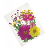 Maxbell 13/14/15Pcs Pressed Leaves Natural Dried Flowers Scrapbooking Card making D